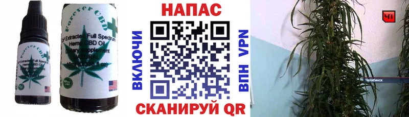 Купить где  Княгинино  Canna-Cookies марихуана 