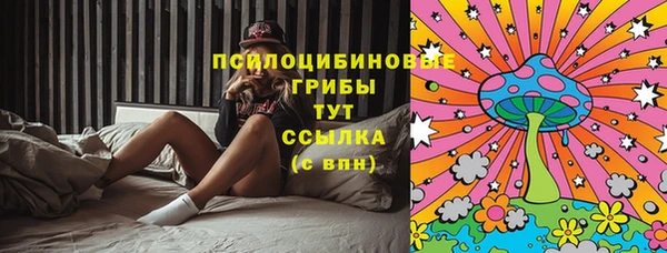 а пвп мука Бронницы
