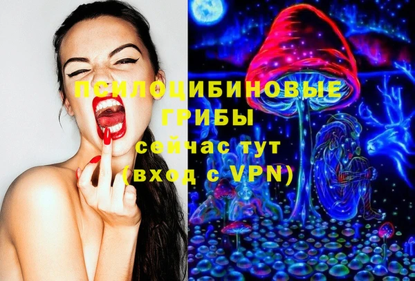 мдпв Козельск