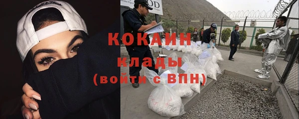 2c-b Бородино