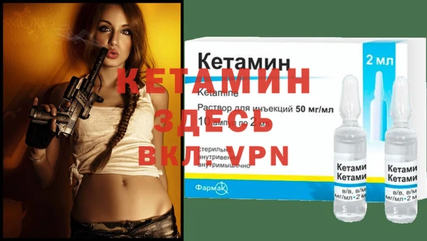 2c-b Бородино