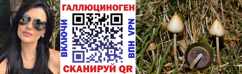 Псилоцибиновые грибы MAGIC MUSHROOMS  Купить закладки  Княгинино 