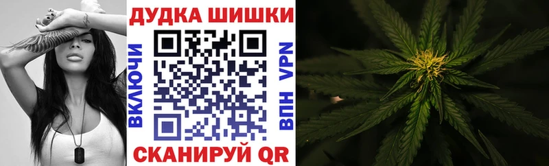 Купить  Княгинино  Шишки марихуана план 